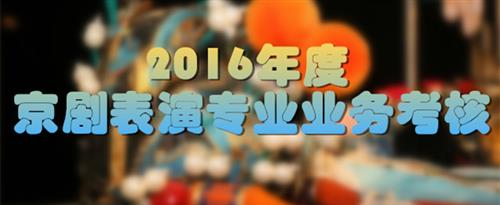 叉逼网站国家京剧院2016年度京剧表演专业业务考...